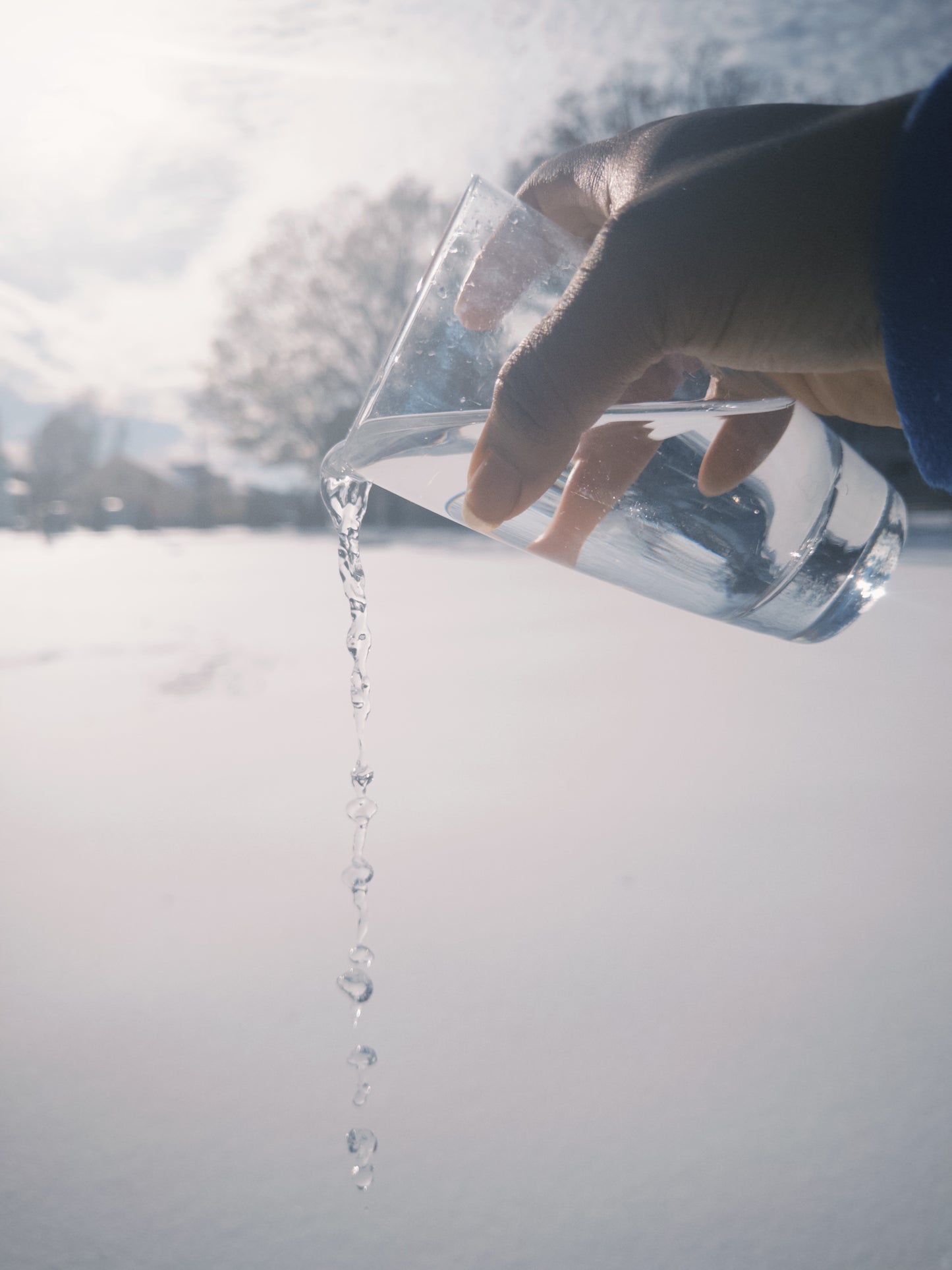 Earth libation book🌎